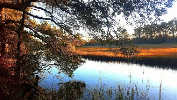 Crystal Coast Sanctuary