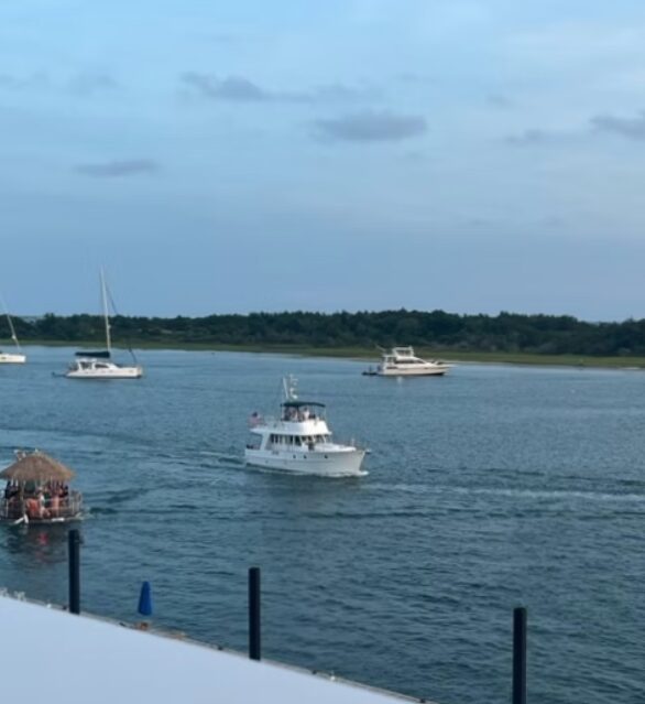 Harbour Boat Cruise
